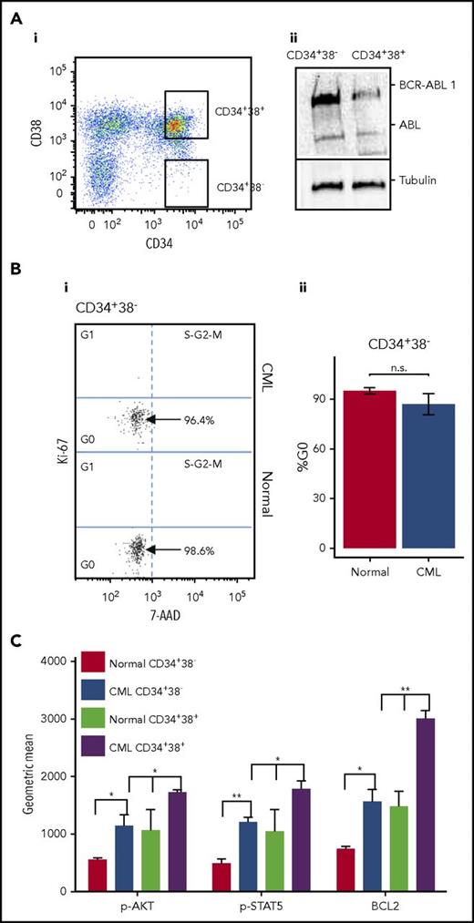 Figure 1. CML SPCs are predominantly quiescent. (Ai) Gating strategy for healthy and CML SPCs enriched for CD34+38− and CD34+38+ cells. (ii) Level of BCR-ABL1 and ABL measured in CD34+38− and CD34+38+ cells. (Bi) Representative dot plots showing the cell-cycle phases in healthy and CML SPCs measured by Ki-67/7-AAD staining. N = 1 representative sample shown. (ii) Percentage of healthy (n = 4) and CML (n = 4) SPCs in G0 cell-cycle phase. (C) Phosphorylation of AKT and STAT5 and level of BCL2 measured by fluorescence-activated cell sorting (FACS) in CML CD34+38− and CD34+38+cells. (*P < .05; **P < .01). n.s., not significant; p-AKT, phospho-AKT; p-STAT5, phospho-STAT5.