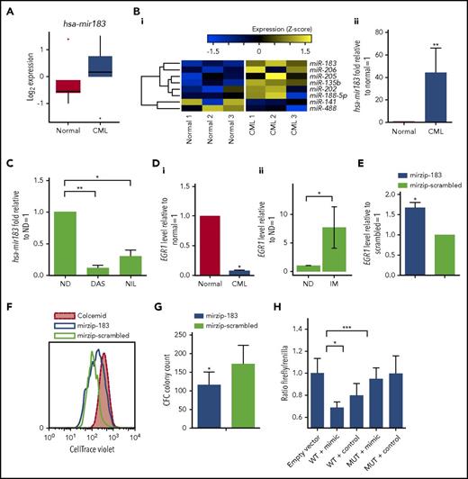 Figure 2. CML SPCs show regulation of the hsa-mir183/EGR1 axis. (A) Genome-wide miRNA expression for healthy and CML SPCs (N = 5 biological replicates). (Bi) Heatmap for the OncoMir MiRNA Q-PCR Array in SPCs showing statistically significant regulation of miRNAs between healthy and CML SPCs. (ii) Q-PCR for hsa-mir183 regulation in CML vs healthy SPCs. (C) CML SPCs treated for 24 hours with dasatinib (DAS; 150 nM) and nilotinib (NIL; 1 µM) and analysis by Q-PCR for hsa-mir183. (Di) mRNA level of the hsa-mir183 target gene EGR1 in healthy and CML CD34+38− cells. (ii) CML CD34+ cells treated for 7 days with imatinib (IM; 5 µM) and live cells analyzed by Q-PCR for EGR1 expression (N = 6). (E) hsa-mir183 knockdown GFP+ CML SPCs sorted and analyzed for EGR1 mRNA level by Q-PCR. Mir zip-scrambled vector was used as negative control. (F) Representative plot for cell divisions analyzed in hsa-mir183 knockdown GFP+ CML SPCs using Cell Trace Violet staining. Colcemid treatment used to visualize undivided cells. (G) CFC analysis carried out in hsa-mir183 knockdown CML SPCs. (H) Luciferase assay showing binding between of hsa-mir183 and EGR1 in KCL22 cells. Cells transfected with oligos containing the EGR1 3′UTR (along with the binding site for hsa-mir183, WT) or a mutant version (MUT) together with hsa-mir183 mimic or scrambled negative control. Each experiment had N = 3 biological replicates; *P < .05; **P < .01; *** P < .001. ND, no drug.