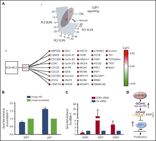 Figure 3. CML SPCs show deregulation of E2F1-signaling networks. (Ai) Analysis of mRNA screen for CD34+PY−Ho− healthy (N = 2 biological replicates) and CML (N = 5 biological replicates) cells. PCA reduced the high-dimensional data set to 3 dimensions using E2F1 targets as obtained from MetaCoreKB (targets listed in supplemental Table 3). Each sample is represented as a dot; CML and healthy samples are colored red and black, respectively. Three-dimensional (3D) ellipses are drawn around each set of samples (CML or healthy) using the mean and covariance of that set, to represent each sample type’s 95% confidence region. Axes labels indicate the percentage of variability accounted for by each principal component (PC). (ii) The network of BCR-ABL1, E2F1, and E2F1 targets, significantly deregulated in CML is shown. Node color indicates transcriptional deregulation in CML vs healthy G0 cells (ArrayExpress accession E-MTAB-2508), with red/green indicating up/downregulation, respectively; color intensity indicates the extent of the deregulation (as indicated by the color bar). (B) Levels of E2F1 and p21 mRNA measured by Q-PCR in hsa-mir183 knockdown CML SPCs. (C) Levels of EGR1, E2F1, and CDK1 mRNA measured by Q-PCR after knocking down EGR1 by siRNA in CML SPCs. (D) Schematic summary of the hsa-mir183/EGR1–mediated regulation of E2F1 (each experiment had N = 3 biological replicates;*P < .05). Ctr, control; logFC, log fold change.