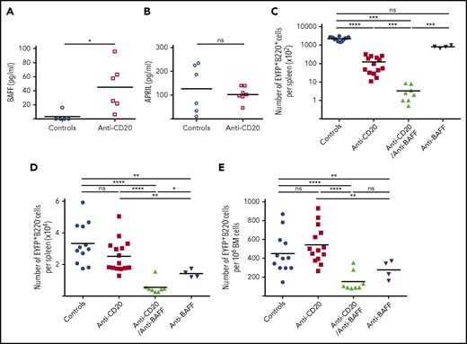 Figure 4. BAFF is a key survival factor for Spl-PCs on B-cell depletion in AID-Cre-EYFP mice. (A) Quantification of BAFF concentration in culture supernatants of 4 × 106 total spleen cells from control (n = 5) and anti-CD20–treated mice (n = 6) after 3 days (ELISA). (B) Quantification of APRIL concentration in culture supernatants of 4 × 106 total spleen cells from control (n = 6) and anti-CD20–treated mice (n = 7) after 3 days (ELISA). (C-E) Number of residual EYFP+ cells observed at the nadir of B-cell depletion (or at equivalent time points) in controls (n = 12), anti-CD20– (n = 14), anti-CD20/anti-BAFF– (n = 8), and anti-BAFF–treated (n = 4) mice: EYFP+ B220+ splenic B cells (C), EYFP+ B220− Spl-PCs (D) and EYFP+B220− BM-PCs (E) (see protocol in supplemental Figure 2B). Analysis originates from ≥2 independent tamoxifen-labeling experiments, except for the anti-BAFF group. Significant differences are estimated by Mann-Whitney U test or 1-way ANOVA, Dunn test for multiple comparisons (*P < .05; **P < .01; ***P < .001; ****P < .0001). Mean values are indicated.