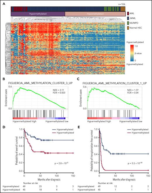 Figure 5. Genome-wide methylation analysis. (A) Unsupervised hierarchical clustering based on methylation profiles of patients with JMML (n = 94) or NS/MPD (n = 12) and repository data from normal CD34+ (n = 5) and AML CD34+CD38− samples (n = 14). (B-C) Gene set enrichment analysis. (D) OS and (E) TFS of patients with JMML according to the methylation profiling-based classification. Patients with NS/MPD were excluded from survival analyses. FDR, false discovery rate; HSC, hematopoietic stem cell; NES, normalized enrichment score.