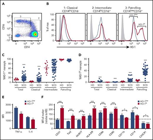 Figure 1. HO-1hi PMo characterization. (A) Representative dot plot of CD14 and CD16 expression in circulating monocytes of SCD patients showing 3 subsets: classical CD14hiCD16− (gate 1), intermediate CD14hiCD16+ (gate 2), and patrolling CD14lowCD16+ (PMo) (gate 3). (B) Representative histograms comparing HO-1 expression in the 3 monocyte subsets from SCD patients (red solid line) and race-matched healthy controls (blue dashed line). Isotype control is shown as gray-filled histogram. Gating for HO-1+ population was set according to the corresponding isotype background. Two peaks of HO-1 expression, indicated as HO-1hi and HO-1low, can be clearly discerned in PMos from SCD patients. (C) Frequencies of total HO-1+–expressing circulating monocyte populations (relative to isotype control) in race-matched healthy controls (n = 10) and SCD patients (n = 52). (D) Frequencies of HO-1hi–expressing monocytes (based on the gating strategy in PMos as shown in panel B) in the same individuals as in panel C: 10 race-matched healthy controls and 52 SCD patients. (E) PMos from SCD patients (n = 8) were purified, and following 4 hours LPS (200 ng/mL) stimulation, intracellular TNF-α and IL-6 expression in HO-1hi vs HO-1low subpopulations of PMos was measured by flow cytometry. (F) Expression of monocyte markers in HO-1hi and HO-1low PMos from SCD patients (n = 21) relative to levels expression by HD HO-1low PMo. Data represent mean ± SEM; means in panels C and D were compared using 2-tailed Student t test. Means in panels E and F were compared using 2-tailed paired Student t test. *P < .05; **P < .01; ***P < .001. MFI, mean fluorescence intensity.