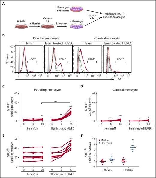 Figure 2. Hemin-treated HUVECs induce high-level HO-1 expression in PMo. (A) Schematic representation of experimental design. Purified total monocytes were cultured directly with hemin or with HUVECs pretreated with hemin for 4 hours before monocyte HO-1 expression analysis. (B) Representative histograms comparing HO-1 expression in monocyte subsets from the cultures without or with HUVECs. No hemin (blue short dashed line), hemin 5 µM (green long dashed line), and hemin 20 µM (red solid line). Isotype control is shown as gray-filled histogram. Frequencies of HO-1hi–expressing (C) PMos and (D) CMos from HDs (n = 7) following 4 hours of exposure of purified monocytes to heme alone (5 and 20 µM) or HUVECs pretreated with hemin (5 and 20 µM). (E) Frequencies of HO-1hi–expressing PMos from SCD patients (n = 9) using the same experimental protocol as for HDs. (F) Frequencies of HO-1hi–expressing PMos from HDs (n = 4) exposed to RBC lysate (120 µM total heme level) alone or HUVECs pretreated with RBC lysate. Data represent mean ± SEM; means were compared using 2-tailed paired Student t test. *P < .05; **P < .01; ***P < .001.