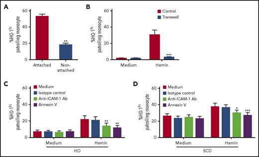 Figure 4. Mechanism of HO-1hi induction by heme-damaged HUVECs in PMos. (A) Following culturing of purified monocytes from HDs (n = 4) with hemin-pretreated HUVECs (20 µM) for 4 hours, frequency of HO-1hi in nonadherent vs adherent monocytes was analyzed. (B) Frequencies of HO-1hi–expressing PMos from HDs (n = 5) in the transwell culture system (blue bars) in which HUVECs exposed to hemin (20 μM) or not (“medium”) were placed in the bottom well and separated from purified monocytes on the top well. At the same time, as a control (“Control”), monocytes were also cocultured directly with HUVECs exposed to hemin (20 µM) or not (“medium”). Hemin (20 µM) exposed HUVEC was preincubated with annexin V or blocking antibodies anti-ICAM-1, VCAM-1, or isotype control for 30 minutes before addition of purified monocyte from (C) HDs (n = 5) and (D) SCD patients (n = 8). Frequencies of HO-1hi–expressing PMos were then analyzed. Data represent mean ± SEM; means were compared using 2-tailed paired Student t test. *P < .05; **P < .01; ***P < .001. Ab, antibody.