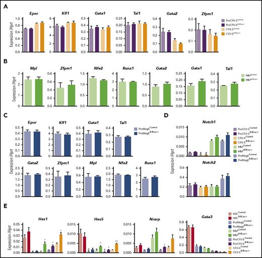Figure 3. Expression of myelo-E lineage programs and Notch-target genes in Rbpj-deficient E and Mk progenitors. (A-D) E and Mk progenitor subsets were purified from individual 10- to 12-week-old Rbpjfl/fl Mx1Cre/+ (N = 6) and age-matched Rbpjfl/fl Mx1+/+ (N = 2) and Rbpjfl/+ Mx1Cre/+ (N = 2) poly(I:C)-treated control mice and subjected to quantitative gene expression analysis for (A,C) erythroid and (B-C) megakaryocytic-related genes and (D) Notch1 and Notch2 receptors. Mean (SEM) values normalized to Hprt. No differences between Rbpjfl/fl Mx1Cre/+ and control mice reached statistical significance. (E) BM HSCs, Mk, and E progenitor cells (100 cells per replicate) were purified from individual 8-week-old RbpJfl/fl VavCre/+ (N = 5) and age-matched RbpJfl/fl Vav+/+ or RbpJfl/+ VavCre/+ controls (N = 1 and 2, respectively) and analyzed for expression of the Notch target genes Hes1, Hes5, Nrarp, and Gata3. Mean (SEM) values. Samples in which the mean value of replicates was ≤0.001 (relative to Hprt expression) were considered below cutoff value (#). For all data sets (A-E), statistical significance was investigated between Rbpj-deleted and control mice. *P < .05; **P < .01. See also supplemental Figure 1H.