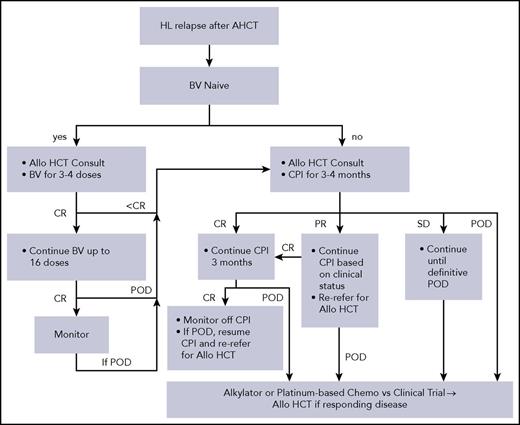 Figure 1. Schema for relapse of HL after AHCT. Choice of chemotherapy is to be based on prior salvage regimens received. POD, progression of disease; SD, stable disease.