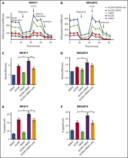 Figure 4. Rescue of combined effects of AC220 and CB839 by αKG. (A-B) Oxygen consumption rate (OCR) in MV411 (A) and MOLM13 (B) cells treated with vehicle control, AC220 1 nM, CB839 100 nM, AC220 and CB839 combination, and AC220/CB839 combination + 4 mM dimethyl αKG measured using a Seahorse analyzer (for MV411 mean ± SEM, n = 3; for basal respiration: ** P = .0019 between AC220 and AC220+CB839, P = .018 between AC220 + CB839 and AC220 + CB839 + αKG; for maximal respiration: ***P = .0002 between AC220 and AC220 + CB839, P = .0224 between AC220 + CB839 and AC220 + CB839 + αKG, 2-way ANOVA with Bonferroni’s multiple comparisons; for MOLM13 cells: mean ± SEM, n = 3; for basal respiration: *P = .0298 between AC220 and AC220 + CB839, P = .0182 between AC220 + CB839 and AC220 + CB839 + αKG; for maximal respiration: *P = .02 between AC220 and AC220 + CB839, P = .0148 between AC220 + CB839 and AC220 + CB839 + αKG; 2-way ANOVA with Bonferroni’s multiple comparisons). (C-D) Relative cytoplasmic ROS levels of MV411 (C) and MOLM13 (D) cells treated as in panels A-B (for MV411: mean ± SEM, n = 5, * P = .0195, *** P = .0008; for MOLM13: mean ± SEM, n = 6, *P = .0345, ANOVA with Tukey’s multiple comparisons). (E-F) Apoptosis in MV411 (E) and MOLM13 (F) cells treated as in panels A-B (for MV411: mean ± SEM, n = 10, *P = .0158 between AC220 and AC220 + CB839 and *P = .0102 between AC220 + CB839 and AC220 + CB839 + αKG; for MOLM13: mean ± SEM, n = 9, *P = .0105 between AC220 and AC220+CB839, *P = .0120 between AC220 + CB839 and AC220 + CB839 + αKG, ANOVA with Tukey’s multiple comparisons).