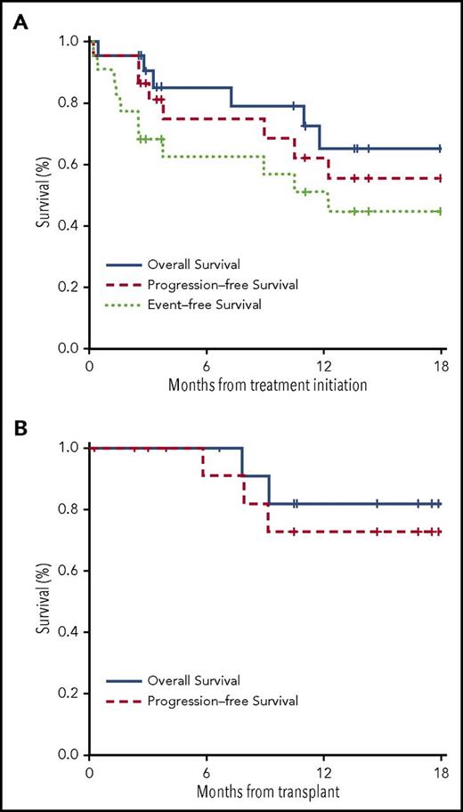 Figure 1. Kaplan-Meier survival estimates. (A) EFS, PFS, and OS by ITT. (B) PFS and OS in patients proceeding to transplantation.