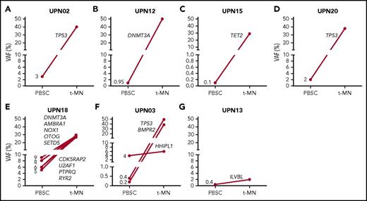 Figure 3. Detection of preleukemic clones in mobilized PBSCs. The presence of preleukemic mutations was determined in PBSC material of 10 patients for whom mutational data were available at the time point of tMN diagnosis. Preleukemic clones could be determined in 7 of 10 analyzed cases at indicated VAFs. Panels A-D were analyzed by a myeloid gene panel, and panels E-G were analyzed by WES. In patients UPN02, UPN12, UPN15, UPN20, and UPN18 (A-E), a mutation present in the leukemic clone could be detected in PBSCs, whereas the detected variant in the PBSCs of patient UPN13 represents a bystander clone (G). For patient UPN03 (F), mutations that represent both a leukemic and bystander clone were detected in PBSCs.