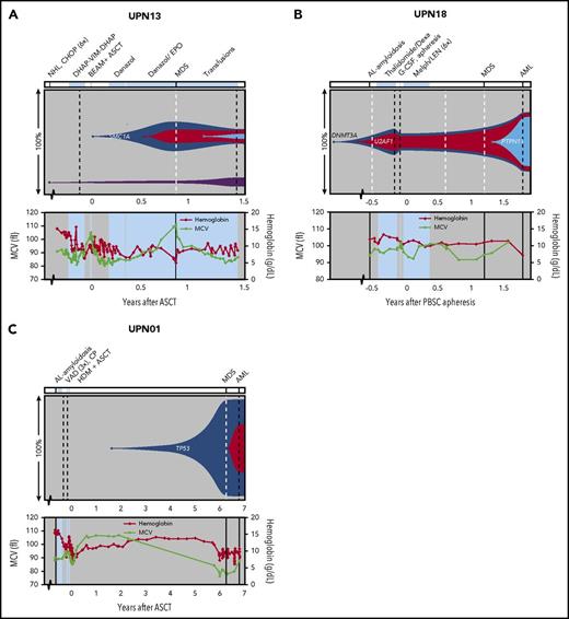 Figure 4. Preleukemic clonal dynamics. Representation of (preleukemic) clonal evolution occurring in patients UPN13 (A), UPN18 (B), and UPN01 (C). The upper panel shows percentages of clones detected at different sampling moments. The x-axis represents the time before and after ASCT (years). Dashed lines represent sampling moments; black lines for DNA derived from PBSC, BM-MNC, or PB-MNC samples; and white for DNA derived from BM slide or BM sediment material. Known leukemic driver genes are indicated in corresponding clones. Diagnosis details and treatment are indicated above the figure panels. Values for hemoglobin and MCV are depicted in the bottom section of each panel. For other PB values, see supplemental Figure 5. Periods of treatment are indicated with light blue planes. For UPN18 (B), the time after PBSC apheresis is plotted because this patient did not undergo ASCT. CAD, cyclophosphamide, Adriamycin, and dexamethasone; CHOP, cyclophosphamide, doxorubicin, vincristine, and prednisone; CP, cyclophosphamide; CVD, cyclophosphamide, bortezomib, and dexamethasone; Dexa, dexamethasone; DHAP-VIM-DHAP, dexamethasone, cytarabine, cisplatin, etoposide, ifosfamide, and methotrexate; EPO, erythropoietin; G-CSF, granulocyte colony-stimulating factor; HDM, high-dose melphalan; IDM, intermediate-dose melphalan; LEN, lenalidomide; Melph, melphalan; VAD, vincristine, Adriamycin, and dexamethasone.