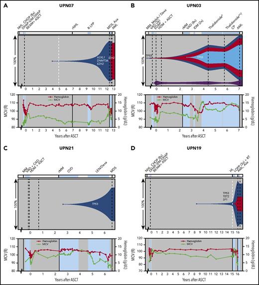 Figure 5. Preleukemic dynamics in patients who received additional chemotherapy after ASCT. Representation of (preleukemic) clonal evolution of patients UPN07 (A), UPN03 (B), UPN21 (C), and UPN19 (D). For figure details and abbreviations, see Figure 4 legends. For UPN03 (B), post-ASCT treatment with thalidomide* 200 mg/week, later reduced to 150 mg/week, thalidomide** 50 mg/week, later reduced to 100 mg/3 weeks. Aza, azacitidine; LOPP, chlorambucil, vincristine, procarbazine, and prednisone; LPP, chlorambucil, procarbazine, and prednisone; MM, multiple myeloma; r, relapsing disease; R, rituximab; RT, radiotherapy.
