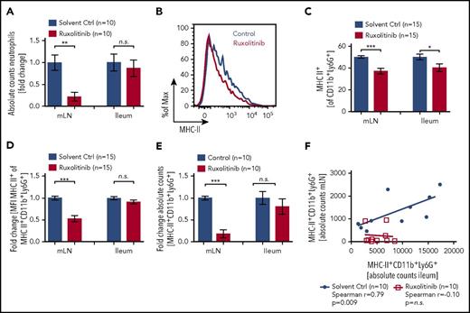 Figure 5. JAK1/JAK2 inhibition reduces neutrophils and MHC-II expression. C57BL/6 mice were treated twice daily with 30 mg/kg ruxolitinib starting on day −1 before TBI. On day 2 after TBI, mice were sacrificed and analyzed by flow cytometry. (A) Absolute numbers of neutrophils (CD45+CD11b+Ly6G+) in mLN and ileum. (B) Representative histogram of MHC-II expression on CD45+CD11b+Ly6G+ neutrophils in ileum after ruxolitinib or solvent control treatment. (C) Frequency of MHC-II+ (% of CD45+CD11b+Ly6G+) neutrophils in ileum and mLN after ruxolitinib or solvent control treatment. (D) Fold change of MFI for MHC-II on MHC-II+CD11b+Ly6G+ cells isolated from mLN or ileum. (E) Fold change in absolute MHC-II+CD45+CD11b+Ly6G+ numbers by ruxolitinib treatment normalized to solvent control. (F) Correlation of MHC-II+CD45+CD11b+Ly6G+ neutrophil numbers in mLN vs ileum after ruxolitinib or solvent control treatment.