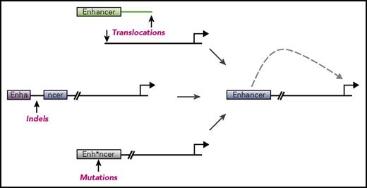Figure 1. Mechanisms of enhancer dysregulation in hematopoietic malignancies. Enhancers are cis-regulatory elements that provide control over gene expression in specialized cellular contexts. A number of mechanisms have been discovered whereby enhancers are deregulated in order to drive cancers. These include chromosomal structural abnormalities such as translocations (top), insertions or deletions (middle), or point mutations (bottom). Any of these abnormalities can lead to enhancers aberrantly driving expression of genes important for cancer pathogenesis. These abnormalities can also lead to disruption of enhancers, shutting off genes and also contributing to disease.