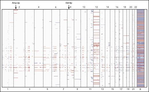 Figure 3. Heat map of CNAs inferred from targeted gene sequencing in 288 CLL patient samples. Each raw represents patient and column represents chromosome. Red color indicates copy number gain and blue color indicates copy number loss. Abnormalities such as amp(2p) and del(8p) were detected in addition to the chromosomal abnormalities commonly observed in CLL.