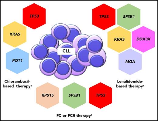 Mutations affecting response and outcomes of patients with CLL. Chlorambucil-based therapy includes chlorambucil, chlorambucil and rituximab, chlorambucil and obinutuzumab; lenalidomide-based therapy includes lenalidomide and lenalidomide and rituximab. FCR, FC plus rituximab.