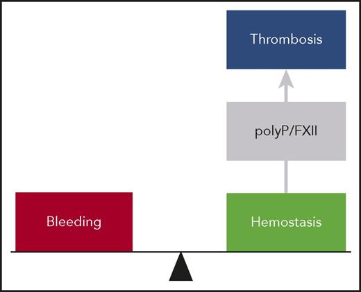 Figure 3. The polyP/FXII axis in thrombosis. At a site of vessel injury, tissue factor–initiated coagulation mechanisms mediate hemostasis, and deficiency in these pathways results in bleeding. In thrombosis, activated platelets expose polyP nanoparticles that induce FXII contact activation driving coagulation within the thrombus. The polyP/FXII specifically contributes to pathologic coagulation, and targeting polyP or FXII interferes with thrombosis but has no impact on hemostasis, suggesting use of this strategy for safe thromboprotection.