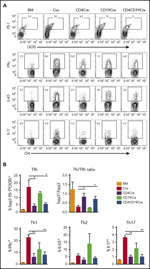 Figure 3. miR-17-92 regulates CD4 T-cell differentiation in cGVHD. BMT was carried out as described in Figure 1. Sixty days after BMT, recipient spleens were collected and mononuclear cells were isolated and subjected to fluorescence-activated cell sorting (FACS) staining. Data from 1 representative mouse of the group (A, top) and mean percentage of Tfh cells (PD-1hiCXCR5+ cells on gated H2Kb+TCRvβ+CD4+Foxp3− T cells) and ratio of Tfr to Tfh cells (ratio of Foxp3+ to Foxp3− cells gated on H2Kb+TCRvβ+CD4+PD-1hiCXCR5+ cells) are shown (B, top). Data from 1 representative mouse of each group (A, bottom) and mean percentages of IFNγ+, IL-4/5+, and IL-17+ cells are shown on gated H2Kb+ TCRvβ+CD4+ T cells (B, bottom) (N = 4-5 mice per group shown). Data shown are the representative of 3 individual experiments with a cumulative total of 15 to 20 mice per group. *P < .05; **P < .01.