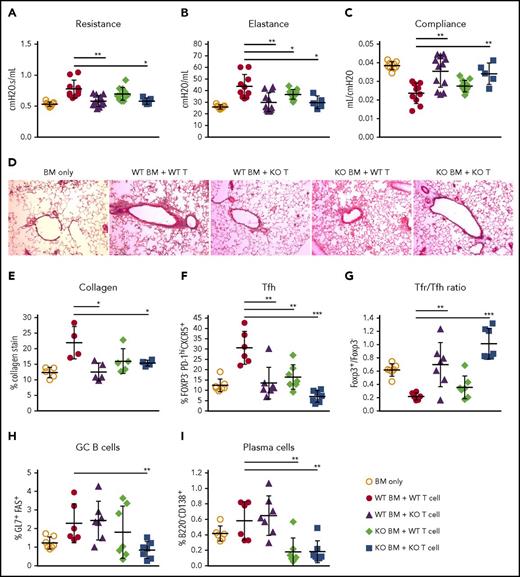 Figure 5. miR-17-92 enhances T- and B-cell pathogenicity in BO. B10.BR mice were conditioned with total-body irradiation and Cytoxan (120 mg/kg) and transferred with either 1 × 107 TCD-BM from WT or miR-17-92flox/floxCD19Cre+ B6 mice, or plus 0.65 × 105 T cells from WT or miR-17-92flox/floxCD4Cre+ B6 mice. (A-C) Pulmonary resistance, elastance, and compliance are shown at 60 days after BMT (N = 5-12 mice per group). (D-E) Collagen deposition in lung was evaluated by Masson Trichrome stain (original magnification ×200) and quantified by measuring the blue area by ImageJ software. (F-I) Mean percentage of PD-1hiCXCR5+ Tfh (on gated H2Kb+ CD4+Foxp3− cells), ratio of Tfr to Tfh cells (ratio of Foxp3+ to Foxp3− cells gated on H2Kb+CD4+PD-1hiCXCR5+ cells), GC B cells (GL-7+Fas+ on gated H2Kb+B220+ cells), and plasma cells (B220lowCD138+ on gated H2Kb+cells) in recipient spleen are shown at 60 days after BMT. *P < .05; **P < .01; ***P < .001.