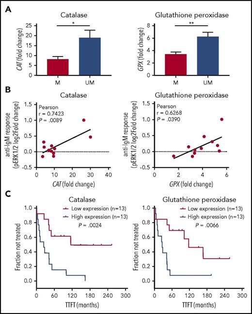 Figure 5. Association of catalase or GPX levels with IGHV status, BCR signaling, and clinical behavior. (A) Expression levels of catalase or GPX in mutated (M) and unmutated (UM) IGHV CLL (n = 26). *P ≤ .05; **P ≤ .01 (B) Association between phosphorylation responses to BCR modulation and catalase or GPX expression levels. BCR signaling in response to anti-IgM stimulation was measured as the log2-fold change of ERK1/2 phosphorylation between anti-IgM-modulated and unmodulated conditions (n = 11). For each comparison is indicated the Pearson correlation coefficient along with the probability value for the null hypothesis of no correlation. (C) Kaplan-Meier curves of TTFT for subgroups of patients with CLL, defined by expression levels of catalase or GPX (n = 26). High and low enzyme expression values were referred to the median expression values. P values are from the logrank test.