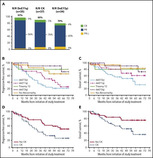 Figure 3. Outcomes in R/R patients with chromosomal abnormalities detected by FISH and with CK. (A) Best response by high-risk genetic features. (B) PFS by chromosomal abnormalities detected by FISH. (C) OS by chromosomal abnormalities detected by FISH. (D) PFS by CK. (E) OS by CK. Survival analysis by FISH cytogenetic subgroups was based on Döhner hierarchy categorization.