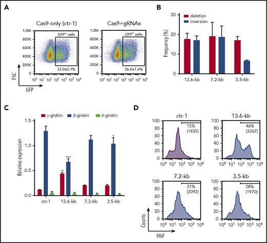 Figure 4. Selection of therapeutic targets for γ-globin reactivation in erythroblasts derived from clinically relevant HSPCs. HSPCs derived from healthy donors were transfected with plasmids carrying Cas9-GFP and gRNAs targeting the 13.6-, 7.2-, and 3.5-kb regions. (A) Flow cytometry sorting strategy of control and genome-edited cells. GFP+ HSPCs were FACS-sorted from Cas9-only (ctr-1) and Cas9+gRNAs samples (13.6, 7.2, and 3.5 kb). Data are expressed as mean ± SEM of 7 independent experiments. FSC, forward scatter. (B) Assessment of deletion and inversion efficiency by ddPCR. FACS-sorted control and genome-edited (13.6-kb, 7.2-kb, and 3.5-kb) cells were differentiated in liquid culture toward the erythroid lineage. Data represent the mean ± SD of at least 2 independent experiments. (C) qRT-PCR analysis of γ (Aγ+Gγ)-, δ-, and β-globin transcripts in mature erythroblasts derived from GFP+ HSPCs. mRNA levels were normalized to α-globin. γ-Globin expression levels were significantly increased in 13.6-kb genome-edited cells compared with the control sample. A modest increase in γ-globin mRNA was detected in 7.2-kb and 3.5-kb genome-edited samples. A robust and significant β-globin downregulation was observed in 13.6-kb genome-edited erythroblasts compared with control cells. *P < .05, **P < .01; ***P < .001 (2-way analysis of variance, Bonferroni’s multiple comparisons test vs ctr-1). Data represent the mean ± SD of at least 2 independent experiments. (D) Representative FACS histograms showing the increase in both the percentage of F-cells and the median fluorescence intensity (MFI) (in brackets) in mature erythroblasts derived from GFP+ genome-edited HSPCs in comparison with the control sample (Cas9-only cells; ctr-1).