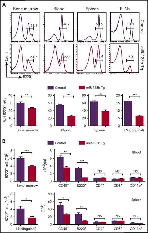 Figure 2. Reduced number of B cells in peripheral tissues of Eμ/miR-125b-Tg mice. (A) Frequency of B220+ B cells in peripheral tissues from 8-week-old Eμ/miR-125b-Tg and control mice. Lymphocytes from the bone marrow, peripheral blood, and spleen and PLNs from control and Eμ/miR-125b-Tg mice were analyzed by flow cytometry. (B) Total number of leukocytes (CD45+) and B cells (B220+), T cells (CD4+ or CD8+), or myeloid cells (CD11b+) counted in each organ or per microliter of peripheral blood. Bars represent mean values of pooled data. Data are pooled from 2 to 3 experiments and represented as mean ± SEM (n = 10-12 mice per group). LN, lymph node. *P < .05; **P < .01; ***P < .001; NS, not significant.