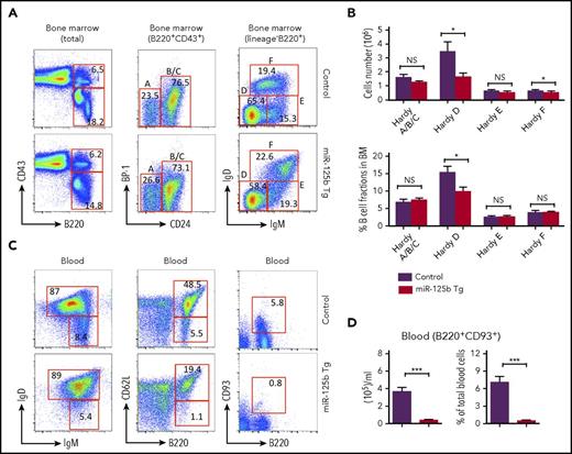 Figure 3. Reduced number of immature B cells in the blood of Eμ/miR-125b-Tg mice. (A) Representative flow cytometric analysis of Hardy fractions for B cell progenitor subpopulations in the bone marrow of 8-week-old Eμ/miR-125b-Tg and control mice. Hardy fractions in bone marrow (A-F) were gated as follows: fraction A, pre/pro-B cell (B220+CD43+BP-1−CD24−); fraction BC, pro-B cells (B220+CD43+BP-1−CD24+ and B220+CD43+BP-1+CD24+); fraction D, pre-B cells (B220+CD43−IgM−IgD−); fraction E, immature B cells (B220+CD43−IgM+IgD−); and fraction F, mature B cells (B220+CD43−IgM+IgD+); the C′ fraction (B220+CD43+BP-1+CD24hi) was not resolved. (B) The frequency and number of each B-cell subpopulation in Eμ/miR-125b-Tg and control mice. (C) Representative flow cytometric analysis of immature and mature B-cell populations in peripheral blood of 8-week-old Eμ/miR-125b-Tg and control mice. Immature B cells were identified as B220+IgDlowIgMhigh, B220+CD93+, and B220+CD62Llow, and mature B cells were identified as B220+IgDhighIgMlow, B220+CD93−, and B220+CD62Lhigh. (D) The number and frequency of immature B cells (B220+CD93+) in the blood of Eμ/miR-125b-Tg and control mice. Bars represent mean values of pooled data. Data are pooled from 2 to 3 experiments and represent mean ± SEM (n = 8 mice per group). *P < .05; ***P < .001; NS, not significant.