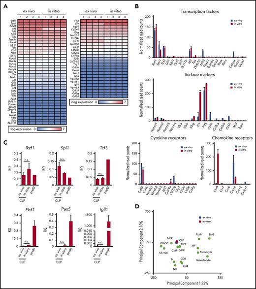 Figure 3. Gene expression profiles of cCLPs and CLPs ex vivo. (A) Heat map view of representative gene expression profiles on transcription factors and receptors in cCLPs (in vitro) and CLPs ex vivo (n = 4). (B) Statistical analyses of representative gene expression of transcription factors (top), surface markers (middle), Notch family and cytokine receptors (lower left), and chemokine receptors (lower right) associated with the hematopoietic cell development measured by RNA-seq in cCLP (red bars) or CLP ex vivo (blue bars). Read counts after normalization were used as gene expression (see “Materials and methods”). Error bars indicate mean (n = 4) ± standard deviation. (C) Quantitative reverse transcription polymerase chain reaction analysis of CLP- or B-cell–related gene expression (n = 4). Relative quantities (RQ) of the indicated genes normalized to the expression of Gapdh are shown. (D) Two-dimensional principal component analysis of normalized whole gene expression profiles in cCLPs (in vitro, n = 4, in red), freshly isolated CLPs (ex vivo, n = 4, in blue), and other hematopoietic cells (in green). preBI, precursor BI (B220+CD19+ckit+IL7R+DHJH/DhJH-rearranged). n.s., not significant.