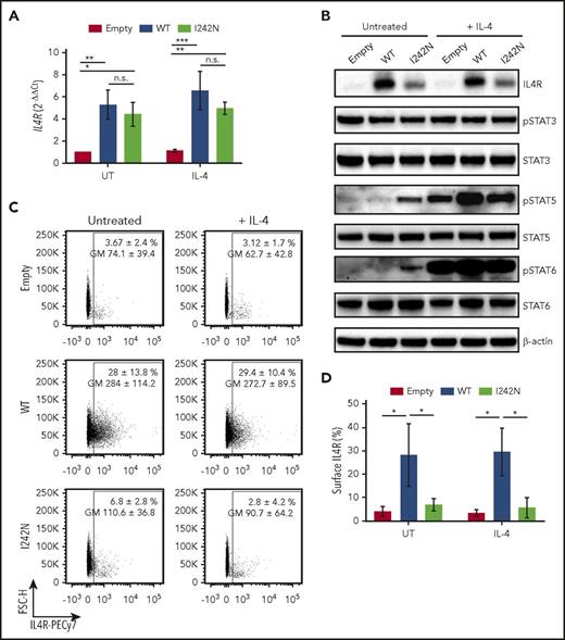 Figure 2. IL4R I242N mutant induced STAT activation in DEV cells. Transduced DEV cells with retrovirus control (empty) or retrovirus expressing IL4R WT or hotspot I242N mutant under control of doxycycline (20 ng/mL, 48 hours) were treated with human recombinant IL-4 (20 ng/mL) for (A,C-D) 24 hours, (B) 20 minutes, or left UT. (A) mRNA expression of IL4R measured by quantitative real-time PCR. (B) Phosphorylation status of STAT3, STAT5, and STAT6 and protein level of IL4R were determined by western blot. (C-D) Flow cytometry analysis of cell-surface expression of IL4R represented as a (C) scatter plot and (D) bar plot. (C) Numbers represent the mean ± SD of the percentage of IL4R-expressing cells and the respective GM; the scatter plots correspond to representative data of 3 independent experiments. (A,D) Graphs show the mean ± SD of 3 independent experiments; significance was evaluated using 1-way ANOVA with Tukey posttest. *P < .05; **P < .01; ***P < .001. GM, geometric mean; n.s., nonsignificant.