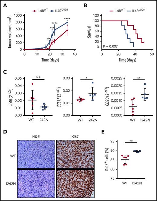 Figure 5. IL4R-I242N induced tumorigenesis in murine xenografts. (A) Tumor volume and (B) Kaplan-Meier survival curves from NSG mice xenografted with DEV cells expressing IL4RWT (n = 6) or IL4RI242N (n = 5). (C) mRNA expression of IL4R, CCL17, and CD23 measured by quantitative real-time PCR in xenograft tumors. (D-E) Ki67 and H&E staining performed in xenograft tumors. (D) Representative IHC images are shown and the (E) percentage of Ki67+ cells was measured using automatic cell counting with ImageJ. Images were acquired using Eclipse E600 microscope, DS-F1 camera, and DS-L2 acquisition software (Nikon); original magnification ×40; numerical aperture of objective lenses, 0.75. Graphs show the mean ± SD and significance evaluated using 2-way ANOVA with (A) Bonferroni posttest and (C,E) 2-sample unpaired 2-tailed Student t test. *P < .05; **P < .01; ***P < .001; ****P < .0001.