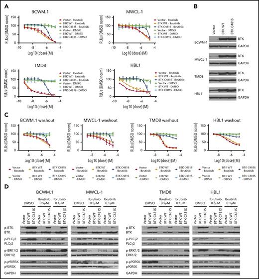 Figure 1. BTKCys481Ser mutation promotes ibrutinib resistance and persistent activation of BTK and ERK1/2 signaling in MYD88-mutated WM and ABC DLBCL cells. MYD88-mutated WM (BCWM.1, MWCL-1) and ABC DLBCL (TMD8, HBL1) cells were transduced with vector alone, or vectors expressing either BTKWT or BTKCys481Ser (BTKC481S). Dose-dependent survival determined by CellTiter-Glo Luminescent cell viability assay for vector only, BTKWT, or BTKC481S transduced MYD88-mutated WM and ABC DLBCL cells following treatment with ibrutinib for 72 hours. Each data point was calculated relative to DMSO control. The x-axis shows ibrutinib log concentration (A). Similar levels of total BTK protein expression were obtained in MYD88-mutated WM and ABC DLBCL cells following transduction with either BTKWT or BTKC481S vectors (B). Cell viabilities at 72 hours for vector only, BTKWT, or BTKCys481Ser transduced MYD88-mutated WM and ABC DLBCL cells following treatment with ibrutinib for 6 hours and then washout and replacement of media without ibrutinib. Each data point was calculated relative to DMSO control. The x-axis shows ibrutinib log concentration (C). Immunoblotting studies depicting impact of vector only, BTKWT, or BTKC481S expression in MYD88-mutated WM and ABC DLBCL cells on BTK, PLCγ2, ERK1/2, and p90RSK signaling following treatment with vehicle control (DMSO) or ibrutinib (0.5, 0.1 μM) for 2 hours. GAPDH used as protein loading control (D). RLU, relative luminescence unit.