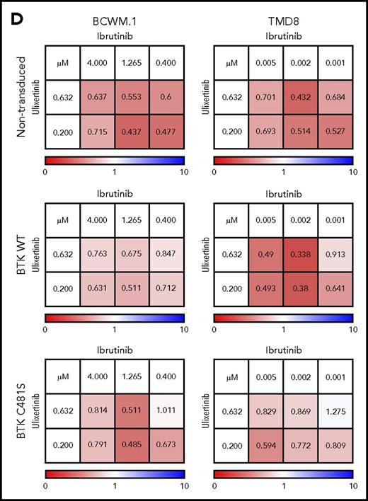 ERK1/2 activation promotes prosurvival signaling in ibrutinib-resistant MYD88-mutated WM and ABC DLBCL cells. Immunoblotting studies depicting BTK, PLCγ2, ERK1/2, and p90RSK signaling in nontransduced, vector only, BTKWT, or BTKCys481Ser (BTKC481S) MYD88-mutated WM (BCWM.1) and ABC DLBCL (TMD8) cells following treatment with vehicle control, ibrutinib, or ERK1/2 inhibitors (ulixerinib, GDC-0994) alone or with ibrutinib for 2 hours. GAPDH was used as protein loading control. Data for ulixertinib are shown in panel A and for GDC-0994 in panel B. Cellular apoptosis determined by Annexin V-FITC and PI staining for BTKWT or BTKC481S expressing WM and ABC DLBCL cells following treatment with vehicle control, ibrutinib (1.0 µM), or ulixertinib (2.0 µM) alone or in combination. Percent of cells staining for both Annexin V and PI is depicted in each panel. Results are representative from studies performed in triplicate (C). Dose-dependent survival determined by CellTiter-Glo Luminescent cell viability assay for vector only, BTKWT, or BTKC481S transduced MYD88-mutated WM and ABC DLBCL cells following treatment with ibrutinib and ulixertinib at pharmacologically relevant dosimetry for 72 hours. Synergism was assessed by combination index (CI) analysis, with the heat maps depicting the CI values at varying dosimetry for ibrutinib and ulixertinib. CI values <1 denote synergistic interactions (D). IB, ibrutinib.