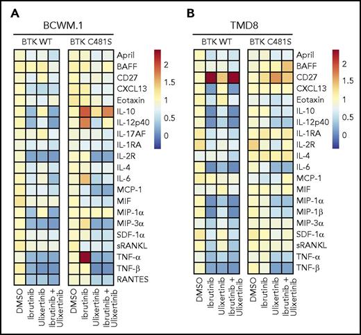 Figure 4. ERK1/2 activation in BTKCys481Ser expressing MYD88-mutated cells triggers prosurvival and inflammatory cytokine release in ibrutinib-treated cells. Cytokine production relative to untreated BTKWT or BTKC481S expressing BCWM.1 WM (A) and TMD8 ABC DLBCL (B) cells is shown following treatment with either vehicle control (DMSO), ibrutinib, ulixertinib, or combination of ibrutinib and ulixertinib. Fold changes are indicated by the color scale, and dark red boxes indicate scales above the highest range (≥2.39).
