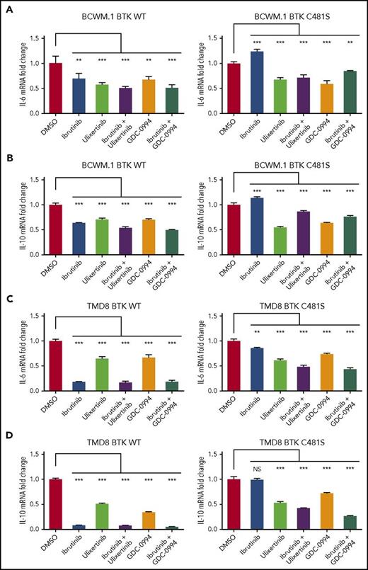 Figure 7. IL-6 and IL-10 are triggered by sustained ERK1/2 activation in ibrutinib-treated BTKCys481Ser expressing cells and can be abrogated by ERK1/2 inhibitors. BTKWT and BTKCys481Ser expressing BCWM.1 WM or TMD8 ABC DLBCL cells were treated with ibrutinib, ulixertinib, or GDC-0994 alone or in combination and assessed for IL-6 and IL-10 mRNA expression by TaqMan Gene Expression Assays. BTKCys481Ser expressing BCWM.1 WM and TMD8 ABC DLBCL cells showed sustained IL-6 (A,C) and IL-10 (B,D) transcription following ibrutinib treatment that was abrogated by the ERK1/2 inhibitors ulixertinib and GDC-0994. ***P < .001; **P < .005; NS, not significant (P ≥ .05).