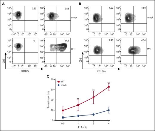 Figure 3. FHL3 model CTL lines for functional analysis of UNC13D variants. Allo13 (A) or HVS-T1 (B) cells transfected with FLAG-tagged cDNA carrying wild-type UNC13D sequences linked to the T2A peptide and EGFP were stimulated with P815 cells and an anti-CD3 mAb (OKT3). CD3+CD8+EGFP+ cells were gated, and degranulation was assessed by flow cytometry. Results are representative of 3 independent experiments. (C) HVS-T1 cells were transfected with FLAG-tagged cDNA carrying wild-type UNC13D sequences linked to the T2A peptide and EGFP. EGFP+ cells were sorted and incubated with P815 (target cells). Data represent the mean ± SD of 3 independent experiments. *P < .05; **P < .01; ***P < .001. E:T ratio, effector-to-target ratio.