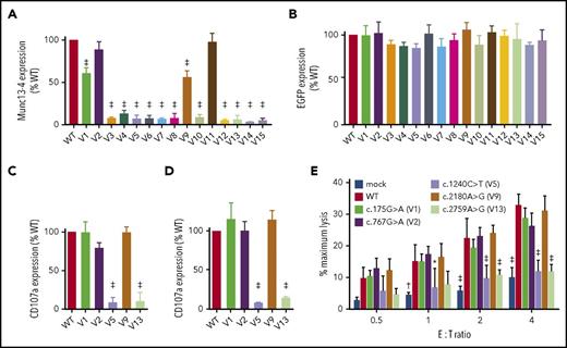 Figure 4. Expression level of the transcribed munc13-4 protein determines the pathogenicity of an UNC13D variant. HVS-T1 cells were transfected with FLAG-tagged cDNA carrying wild-type or missense UNC13D sequences linked to the T2A peptide and EGFP. CD3+CD8+EGFP+ cells were gated, and expression of munc13-4 (A) and EGFP (B) in cells transfected with missense UNC13D variants relative to that in cells transfected with the wild-type UNC13D sequence was analyzed by flow cytometry. Relative expression of munc13-4 protein (A) was calculated as follows: MFI of anti-FLAG–stained cells transfected with UNC13D variants − MFI of anti-FLAG–stained mock-transfected cells/MFI of anti-FLAG−stained cells transfected with wild-type UNC13D − MFI of anti-FLAG–stained mock-transfected cells. Relative expression of EGFP (B) was calculated as follows: MFI of EGFP in cells transfected with UNC13D variants/MFI of EGFP in cells transfected with wild-type UNC13D. Values represent the mean ± SD of 3 independent experiments. (C) Allo13 or (D) HVS-T1 cells were transfected with FLAG-tagged cDNA carrying wild-type or missense UNC13D sequences linked to the T2A peptide and EGFP, followed by incubation with P815 and an anti-CD3 mAb (OKT3). CD3+CD8+EGFP+ cells were gated, and degranulation was assessed by flow cytometry. Relative degranulation was calculated as follows: MFI of CD107a expression by cells transfected with UNC13D variants − MFI of CD107a expression by mock-transfected cells/MFI of CD107a expression by cells transfected with wild-type UNC13D − MFI of CD107a expression by mock-transfected cells. Data represent the mean ± SD of 3 independents experiments. (E) HVS-T1 cells were transfected with FLAG-tagged cDNA carrying wild-type or missense UNC13D sequences linked to the T2A peptide and EGFP. EGFP+ cells were sorted and incubated with P815 cells and an anti-CD3 mAb (OKT3) at the indicated effector-to-target (E:T) ratios. Specific lysis was then calculated. Data represent the mean ± SD of 3 independent experiments. *P < .05, †P < .01, ‡P < .001, compared with the wild-type UNC13D construct.