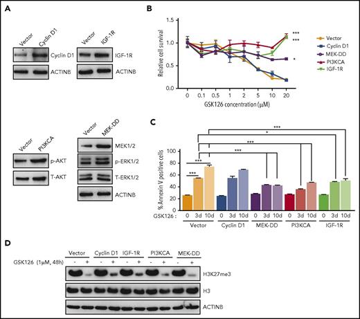 Figure 2. Activation of the IGF-1R, PI3K, or MAPK pathway is sufficient for conferring resistance to the EZH2 inhibitor GSK126. (A) SU-DHL-10 cells expressing the specified genes or an empty vector were analyzed for the indicated proteins by immunoblotting. (B) SU-DHL-10 cells expressing the specified genes or an empty vector (control) were analyzed for their sensitivity to GSK126 using an MTT assay after treatment with GSK126 at the indicated concentrations for 72 hours. The cell viability relative to DMSO-treated cells is shown. (C) SU-DHL-10 cells expressing the specified genes or an empty vector as a control (Vector) were treated with GSK126 (5 μM) for 3 or 10 days and analyzed for apoptosis induction by annexin V–FITC staining. (D) SU-DHL-10 cells expressing the designated constructs were treated with the EZH2 inhibitor GSK126 (1 μM) for 48 hours and analyzed by immunoblotting for H3K27me3, H3, and ACTINB. AUC was calculated to allow for the comparison between the 2 curves and the P values were calculated using a Student t test. Data are presented as mean ± SEM. *P < .05; ***P <.001.