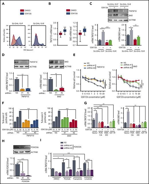 Figure 4. EZH2 inhibition induces apoptosis by upregulating the proapoptotic genes TNFSF10 and BAD. (A) SU-DHL-10 and SU-DHL-10-P cells were treated with GSK126 (10 μM) for 3 days and apoptosis was analyzed by annexin V–FITC staining. (B) TNFSF10 and BAD mRNA expression in previously published Gene Expression Omnibus (GEO) datasets including DLBCL cells treated with GSK126 (GSE: 40971). (C) TNFSF10 and BAD mRNA and protein expressions in SU-DHL-10-P and SU-DHL-10-R cells treated with GSK126 (1 μM, 48 hours). (D) TNFSF10 and BAD mRNA (bottom) or protein (top) expression in SU-DHL-10 cells expressing nonsilencing (NS) or the designated shRNAs. (E) SU-DHL-10 cells expressing nonsilencing or TNFSF10 and BAD shRNAs were analyzed using an MTT assay after treatment with the indicated concentrations of GSK126 for 72 hours. Relative proliferation under the specified conditions is shown. (F) SU-DHL-10 cells expressing the designated shRNAs were treated with vehicle or GSK126 (5 and 10 μM) for 72 hours and apoptosis was measured using an annexin V assay. (G) TNFSF10 and BAD mRNA expression in SU-DHL-10 cells expressing either PI3KCA, MEK-DD, or IGF-1R under the specified conditions. (H) FOXO3A mRNA (bottom) and protein (top) expression in SU-DHL-10 cells expressing nonsilencing or FOXO3A shRNAs. (I) TNFSF10 mRNA expression in SU-DHL-10 cells expressing nonsilencing or FOXO3A shRNAs treated with the indicated drugs for 48 hours. AUC was calculated to allow for the comparison between the 2 curves and the P values were calculated using a Student t test. Data are presented as mean ± SEM; *P < .05; **P < .01; ***P < .001.