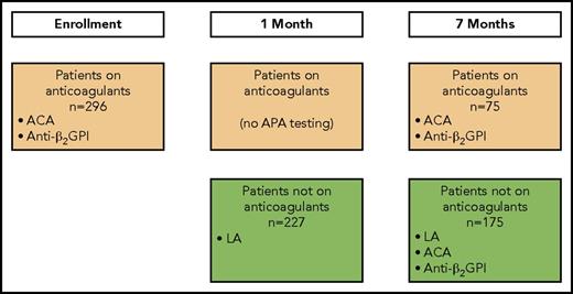 Figure 1. Patient flow and when APA testing was performed. At enrollment, all patients were receiving anticoagulants. At 1 month, patients with a positive D-dimer at enrollment remained on anticoagulants. At 7 months, patients with a positive D-dimer at enrollment or 1 month were receiving anticoagulants, and patients with a negative D-dimer at enrollment and at 1 month were not receiving anticoagulants.
