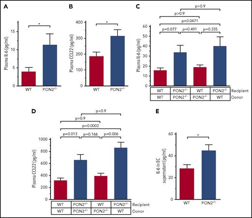 Figure 2. Pon2 deficiency triggers increased IL-6 and CCL22 release from the vasculature. Plasma concentrations of (A) IL-6 and (B) CCL22 quantified by multianalyte chemiluminescent ELISA array using plasma samples of Pon2−/− and WT mice (n = 7-8). *P ≤ .0377; Mann-Whitney U test. (C-D) IL-6 and CCL22 plasma concentrations in plasma derived from BM chimeras and transplantation controls (n = 6). Adjusted P values are indicated; Kruskal-Wallis test with the Dunn multiple comparison test. (E) IL-6 concentrations in cell-culture supernatant of ECs isolated from Pon2−/− and WT quantified as in panels A-D. *P ≤ .0351; Student t test.