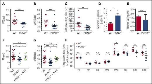 Figure 3. Pon2−/−mice have an accelerated coagulation. (A) PT, (B) aPTT, and (C) bleeding time of the tail vein of Pon2−/− and WT mice (n = 16-21). ***P ≤ .0008; **P = .0041; Mann-Whitney U test. (D) Basal plasma levels of active thrombin in Pon2−/− and WT mice (n = 2-3). *P ≤ .0138; Student t test. (E) Plasma TAT levels in Pon2−/− and WT mice (n = 2-3). Student t test. (F) PT and (G) aPTT of NAC-treated Pon2−/− mice compared with Pon2−/− and WT mice (n = 7-28). ***P < .001; **P < .01; *P < .05; Kruskal-Wallis test with the Dunn multiple comparison test. (H) Coagulation factor activities of Pon2−/− and WT mice determined by coagulation time measurement in factor-depleted plasma (n = 6-14). **P = .0019; *P ≤ .047; n.s.; Student t test. Scatter plots show results for individual mice, mean and SEM. n.s., not significant.