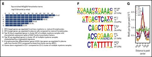 MM cells display widespread alterations in enhancer activity. (A) Overlap between active H3K27Ac-marked enhancers in MM (11 primary MM and 10 MM cell lines) and the ENCODE and Roadmap Epigenome enhancer catalogs. Total number of H3K27Ac-marked regions is indicated in parentheses for each group. (B) Number of elements showing similar or differential (twofold) H3K27Ac signals when comparing primary MM (n = 11), PB (n = 3), and memB (n = 3). (C) Box and whisker plots of the fold change in RNA expression (comparing MM and PBs) for genes with or without DEs with gained or lost H3K27Ac signal. (D) MM-related genes displaying increased expression and H3K27Ac signals in primary MM (black tracks) compared with PBs (red tracks) and memB (green tracks). Arrows indicate enhancers. Expression (average FPKM ± standard deviation) of the gene in each loci is shown below the tracks. (E) GREAT analysis of enhancers with gained activity in MM compared with PBs. Top 6 significant Molecular Signatures Database (MSigDB) Perturbation terms are shown. X-axis displays enrichment P values (−log10). (F) De novo identification of TF motifs enriched in enhancers with gained H3K27Ac signal in MM compared with PBs (gained DEs). The best TF motif matches, P values for motif enrichment, and percentage of regions containing motif are indicated to the right of the sequence logos. (G) Distribution of enriched motifs in the gained DEs. BPC, bone marrow plasma cell; HP, hyperploid; MF, MAF/MAFB; TPC, tonsil plasma cell.