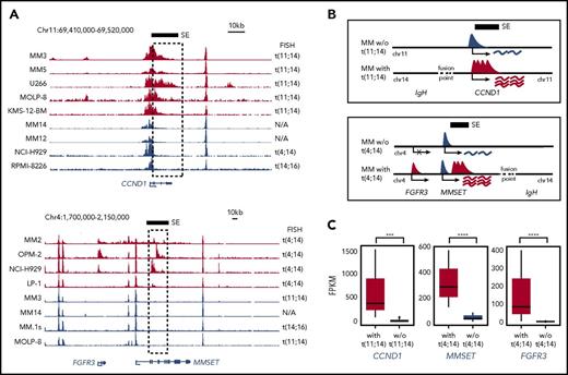 Figure 3. t(11;14) and t(4;14) translocations results in de novo SE formation in MM. (A) H3K27Ac signals in MM cells at the CCND1 (top) and FGFR3/MMSET loci (bottom). Translocations involving the IGH locus (on chr14) in individual MM samples are indicated on the right. The black bar and dashed box indicate the de novo SE's genomic position. (B) Illustration depicting the normal CCND1 and FGFR3/MMSET loci and the loci after juxtaposition of IGH SEs with accompanying de novo SE formation and transcription. (C) RNA-seq expression levels (average FPKM ± standard deviation) of CCND1, MMSET, and FGFR3 in MM with or without the indicated translocation. N/A, not applicable; w/o, without. ***P ≤ .001; ****P ≤ .0001.