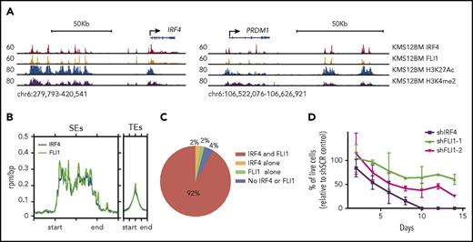 Figure 7. Genomewide occupancy and functional knockdown of key TFs in MM cells. (A) Browser shots showing IRF4, FLI1, H3K27Ac, and H3K4me2 ChIP-seq in KMS12BM MM cells at the IRF4 (left) and PRDM1 loci (right). (B) Distribution of IRF4 and FLI1 ChIP-seq signals at SEs and TEs (defined by H3K27Ac). (C) Cooccupancy of IRF4 and FLI1 at SEs (% of SEs identified in KMS12BM). (D) Percentage of live cells in knockdown samples relative to scramble controls at indicated time points. Two independent experiments with 2 replicates of each were performed.