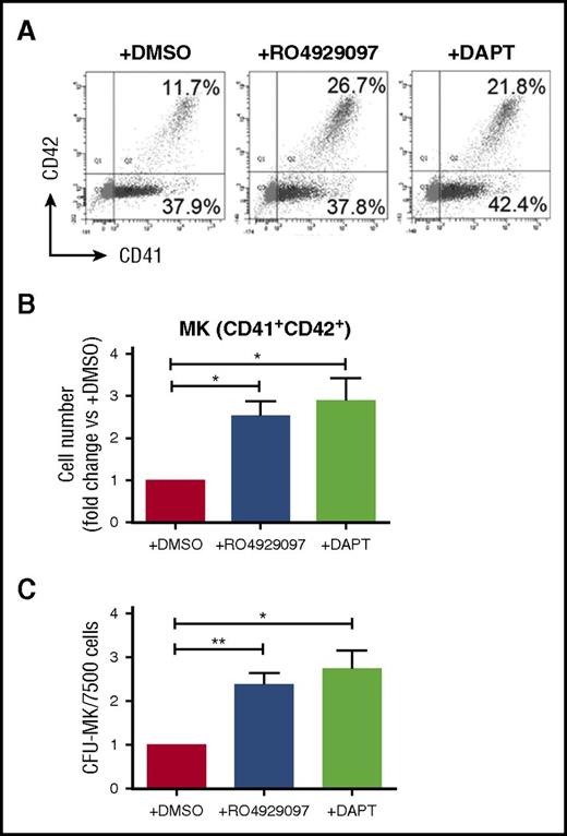 Figure 6. Inhibition of Notch signaling promotes megakaryopoiesis from CB CD34+ cells. (A) Representative FACS analysis of the percentage of MKs (CD41+CD42+) derived from CB CD34+ cells with addition of 10 μM GSIs (RO4929097 or DAPT) or DMSO (control). (B) Bar graph depicting fold changes in the cell numbers of MKs derived from CB CD34+ cells with addition of 10 μM GSIs (RO4929097 or DAPT) or DMSO (control). Data are shown as the means ± SEM, n = 3. *P < .05. (C) The number of CFU-MK colonies from 7500 cells on day 14 derived from CB CD34+ cells with addition of 10 μM GSIs (RO4929097 or DAPT) or DMSO (control). Data are shown as the means ± SEM, n = 3. *P < .05; **P < .01.