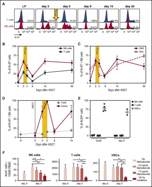 Figure 2. Cyclophosphamide administration induces killing of proliferating NK cells. (A) Flow cytometry histograms depicting Ki-67 expression measured on T (blue) and NK cells (red) from the leukapheresis (LP) graft and in the PB of a representative patient (OSR #1) at different time points after HSCT, as indicated. Percentages indicate frequencies of Ki-67–positive cells. (B) Ki-67 positivity in NK (red circles) and T (blue squares) cells from the graft (day 0), or circulating in the PB of patients after HSCT with PT-Cy (n = 17). (C) Ki-67 positivity in NK cells from the graft (day 0) or in the PB of patient transplanted at OSR (red circles: n = 10) or JHU (white circles: n = 7). (D) Level of proliferation of donor-derived NK cells (red circles) and residual host NK cells (gray circles) measured with Ki-67 intracellular staining in 3 representative patients. Donor- or host-derived NK cells were discriminated by immunophenotypic analysis using differential expression of the mismatched HLA-A*02 allele. (E) Scatter plot depicting the mean percentage of ALDH+ cells detected by flow cytometry among NK (red circles), T (blue squares), and stem (orange diamonds) cells present within the infused graft, or in the patient PB 3 days after transplant, in 4 representative patients. Note that for 2 of 4 patients, CD34+ stem cells were no more detectable in the patient PB at day 3. (F) In vitro assay of mafosfamide-induced cell death. The LP product of 6 patients was stimulated with IL-15 at day 0 and treated with different doses of mafosfamide at day 3. The graphs report the number of viable (AnnexinV−) NK cells, T cells, and HSCs detected by flow cytometry before the treatment (day 3) and after administration of different doses of the drug (day 5; light pink bars: untreated; dark pink bars: 2.5 μg/mL; light red bars: 7.5 μg/mL) and after irradiation as positive control (day 5, red bars). Unless otherwise specified, shown in all panels are average values ± SEM.
