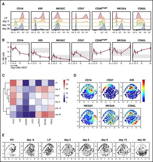 Figure 4. The second wave of NK cells that appear after PT-Cy displays an immature phenotype. (A) Flow cytometry histograms depicting expression of indicated maturation markers on CD56+ CD3− NK cells from a representative patient (OSR #1) at the indicated time points (LP: red; day 3: orange; day 15: green; day 30: blue). (B) The expression of the described maturation markers measured by flow cytometry in NK cells from the graft (day 0) and from patients longitudinally sampled after HSCT with PT-Cy (n = 10). For each marker, a normal reference interval (mean ± SD) measured in NK cells from 5 healthy subjects is displayed (gray box). (C) Heat map of the average NK cell maturation marker expression at different time points, with unsupervised hierarchical clustering, for 10 OSR patients analyzed by multiparametric flow cytometry at the indicated time points. (D-E) Multidimensional single-cell analysis of the maturation status of NK cells harvested from 5 healthy controls (HC), from leukaphereses (LP, n = 10) and from 10 patients at different time points after HSCT. The panel D bidimensional maps were obtained from flow cytometric data using the bh-SNE algorithm show all analyzed NK cell events, with coloring denoting the expression of each maturation marker, as indicated. The same data are depicted in panel E, where NK cells from a selected time point are displayed separately.