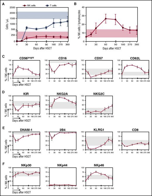 Figure 5. Despite early recovery of NK cell counts after PT-Cy–based HSCT, NK cell phenotype normalization occurs only several months after transplantation. (A) Absolute counts of NK cells (red circles) and T cells (blue squares) detected in the PB of 10 patients followed long-term after HSCT with PT-Cy (from days 30 to 360). A reference physiological cell count interval (mean ± SD) obtained from 5 healthy controls is shown for NK cells (light red box) and T cells (light blue box). (B) The proportion of NK cells out of total lymphocytes in the infused donor graft (day 0) and longitudinally after HSCT is displayed for 10 OSR patients. (C-F) Flow cytometry histograms depicting the expression of selected markers on CD56+CD3− NK cells in the donor graft (day 0) or from patient PB obtained longitudinally after transplant in 10 OSR patients. For all panels, gray boxes show reference values (mean ± SD) obtained analyzing 5 healthy controls. (C) Expression of maturation markers. (D) Expression of KIRs and lectin-type receptors. (E) Expression of markers of exhaustion or activation. (F) Expression of natural cytotoxicity receptors. Unless otherwise specified, data are shown as mean ± SEM.