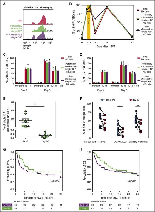 Figure 6. PT-Cy eliminates single-KIR+ NK cells and thus dampens NK cell–mediated alloreactivity. (A) Flow cytometry histogram depicting proliferation measured by Ki-67 expression in total NK cells (red), in single KIR+ NK cells predicted to be alloreactive (green), and in single-KIR+ NK cells predicted to be nonalloreactive (purple) in a representative patient (OSR #10) immediately before PT-Cy administration (day 3 after HSCT). (B) Time course of Ki-67 positivity in total NK cells (red circles), single-KIR+ NK cells predicted to be alloreactive (green triangles), or single-KIR+ NK cells predicted not to be alloreactive (purple triangles) from the graft (day 0) or circulating in the PB from a representative patient (OSR #10) after HSCT. (C) Percentage of Ki-67 positivity in total NK cells from 3 PBSC grafts (red), in the subset of single-KIR+ NK cells predicted to be alloreactive (green), or in the subset of single-KIR+ NK cells predicted not to be alloreactive (purple) upon 3 days of exposure to IL-15, and after subsequent addition of mafosfamide to the culture medium. (D) Percentage of proliferating cells, measured through CTV dilution, among total NK cells from 3 PBSC grafts (red), among the subset of single-KIR+ NK cells predicted to be alloreactive (green), and among the subset of single-KIR+ NK cells predicted not to be alloreactive (purple) upon 3 days of exposure to IL-15 and after subsequent addition of mafosfamide to the culture medium. (E) Frequency of predictably alloreactive single-KIR+ NK cells within the graft and in PB NK cells in patients 30 days after HSCT, measured in 8 donor-recipient pairs with KIR-ligand mismatches. (F) Target cell death, expressed as Annexin V positivity (AnnV+), measured on K562 cells, OCI/AML cells, or primary leukemic cells after incubation at a 10:1 effector:target ratio with NK cells purified from patient PB day 30 after HSCT with PT-Cy (n = 8, red dots) or from their respective donors PB (n = 8, black dots). (G-H) Progression-free survival (G) and overall survival (H) in patients who received PT-Cy–based haploidentical HSCT from donor with (green line, n = 41) or without (purple line, n = 58) predicted NK cell alloreactivity. Tick marks represent censoring for live patients. Unless otherwise specified, data are shown in all panels as mean values ± SEM.