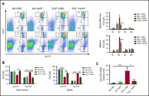 Figure 4. HO-1 suppression rescues erythroid cell differentiation, suppresses erythroblast expansion, and reduces Fam132b expression in the bone marrow of Th3/+ mice. (A) Representative dot plots of flow cytometry analysis of CD71 (y-axis) and Ter119 (x-axis) expression and its quantification in the bone marrow and the spleen from Wt and Th3/+ mice injected with either PBS or SnPP (n = 3). (B) Flow cytometry analysis of Ter119− and Ter119+ cells present in the bone marrow (n = 3) and the spleen (n = 5) of Wt and Th3/+ mice injected with either PBS or SnPP. (C) qRT-PCR analysis of Fam132b mRNA expression in bone marrow isolated from Wt and Th3/+ mice injected with either PBS or SnPP. The results are presented as fold change relative to Wt + PBS samples (n = 3). *P < .05, ***P < .001.